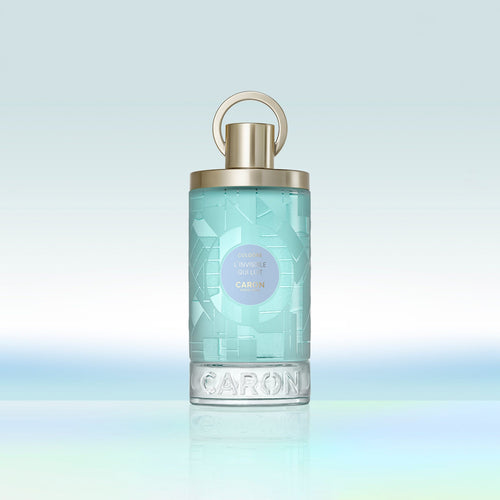 L'Invisible Qui Luit